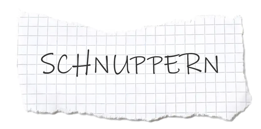 Back to school - HLW und FW Deutschlandsberg